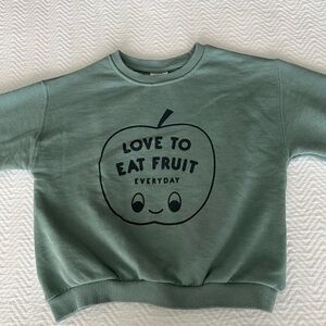 Zara Toddler sweater